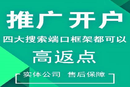 专业sem竞价托管服务，案例解析提升广告效果